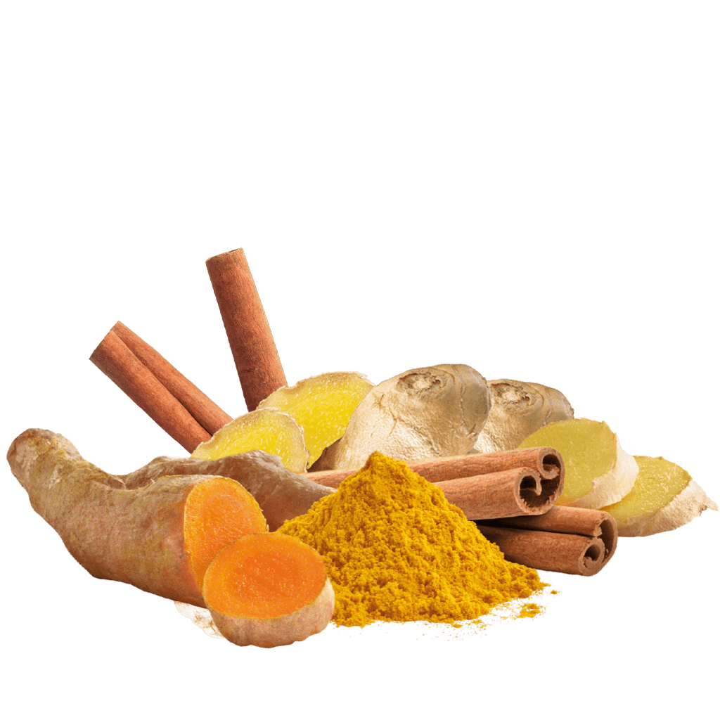 Curcuma, Ingwer und Zimtstangen