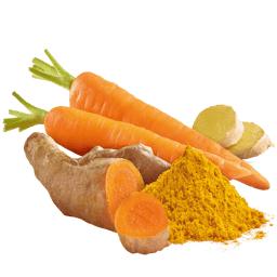 Curcuma mit Karotten und Ingwer