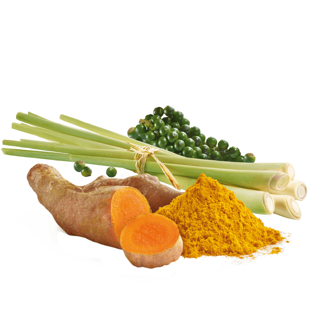 Cocuma gewürz - Die besten Cocuma gewürz verglichen!
