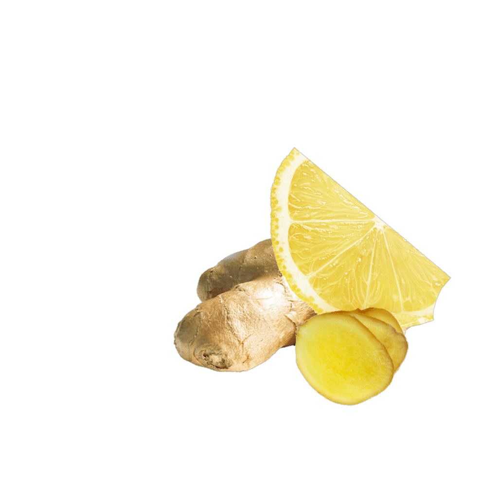Fleur De Sel Ingwer Zitrone Inhalt