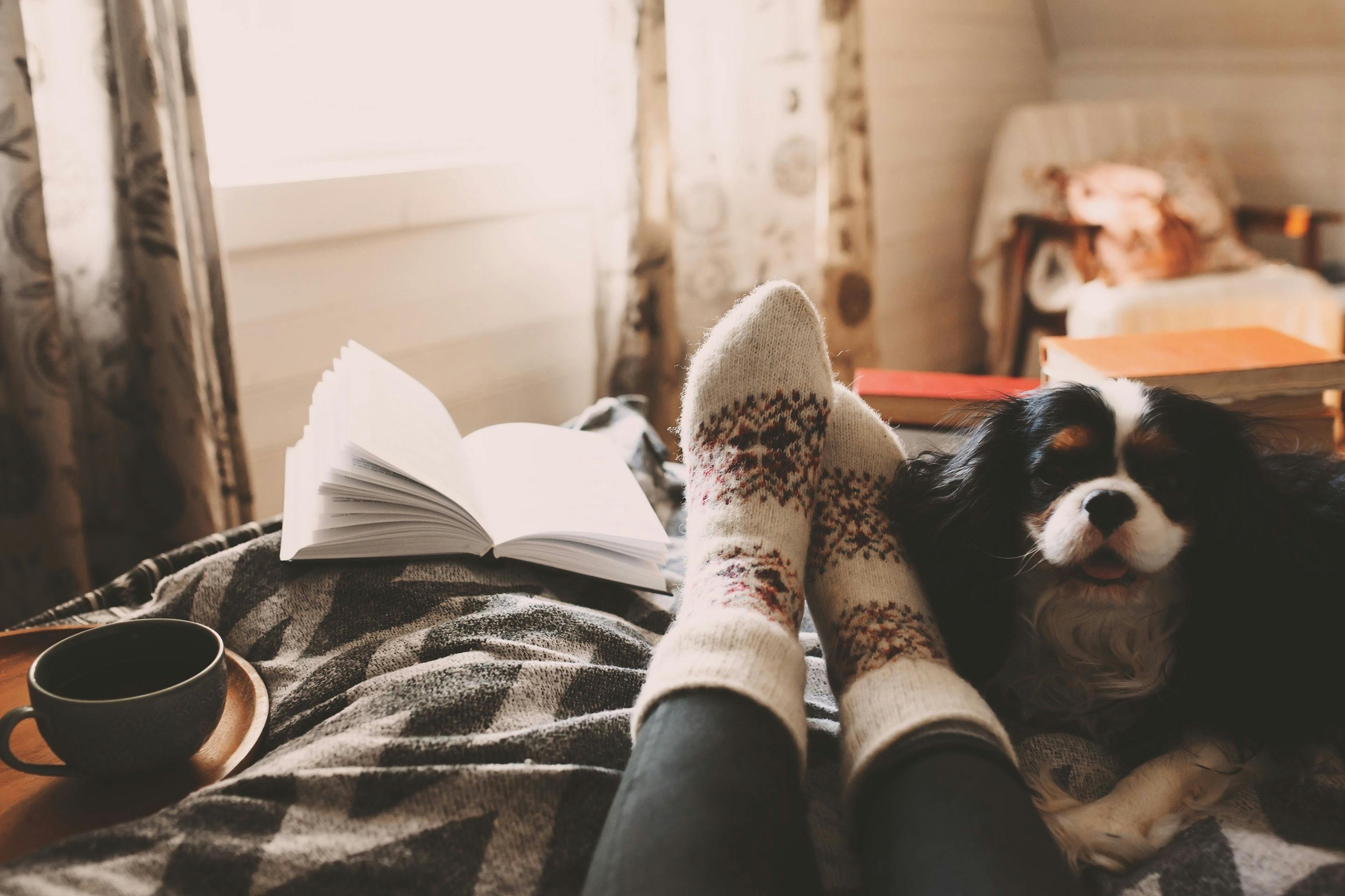 eine Person liegt in einem Bett mit aufgeschlagenem Buch, Hund und einer Tasse Tee