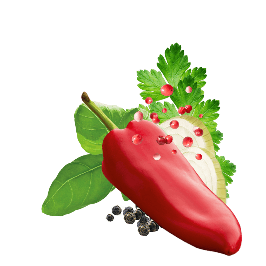 Paprika, Rosa Beeren, Petersilie, Basilikum und Zwiebel