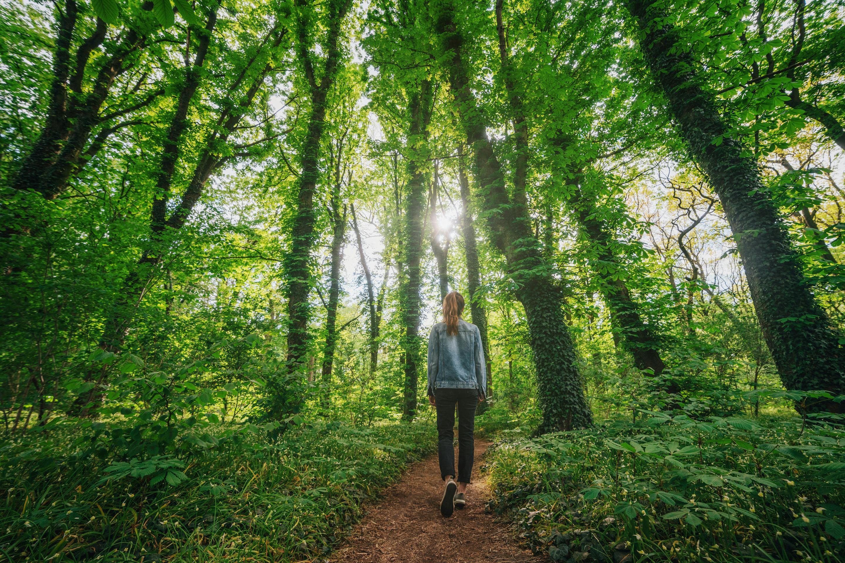 Frau geht in lichtem Laubwald spazieren