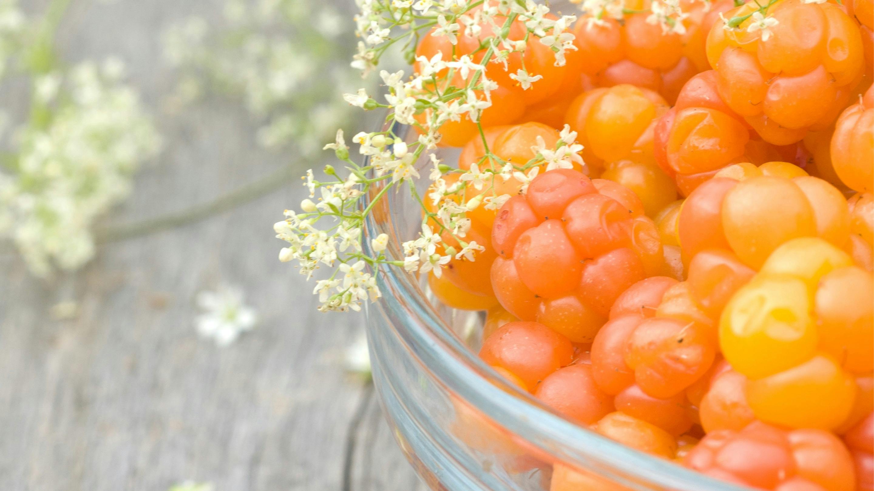 Moltebeeren wachsen im kalten Klima Norwegens & sind das Wahrzeichen Lapplands.