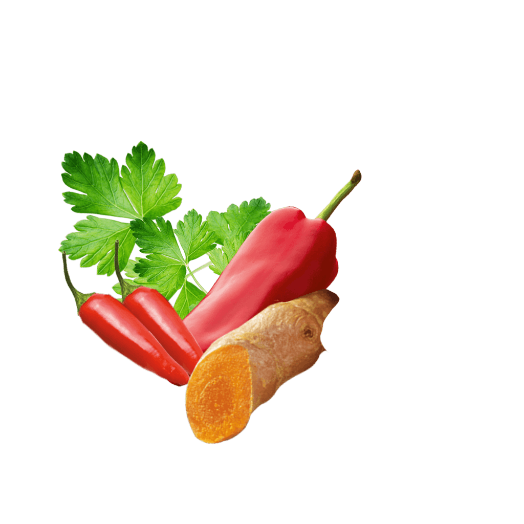 Inhaltsstoffe des Coconut Chicken Currys