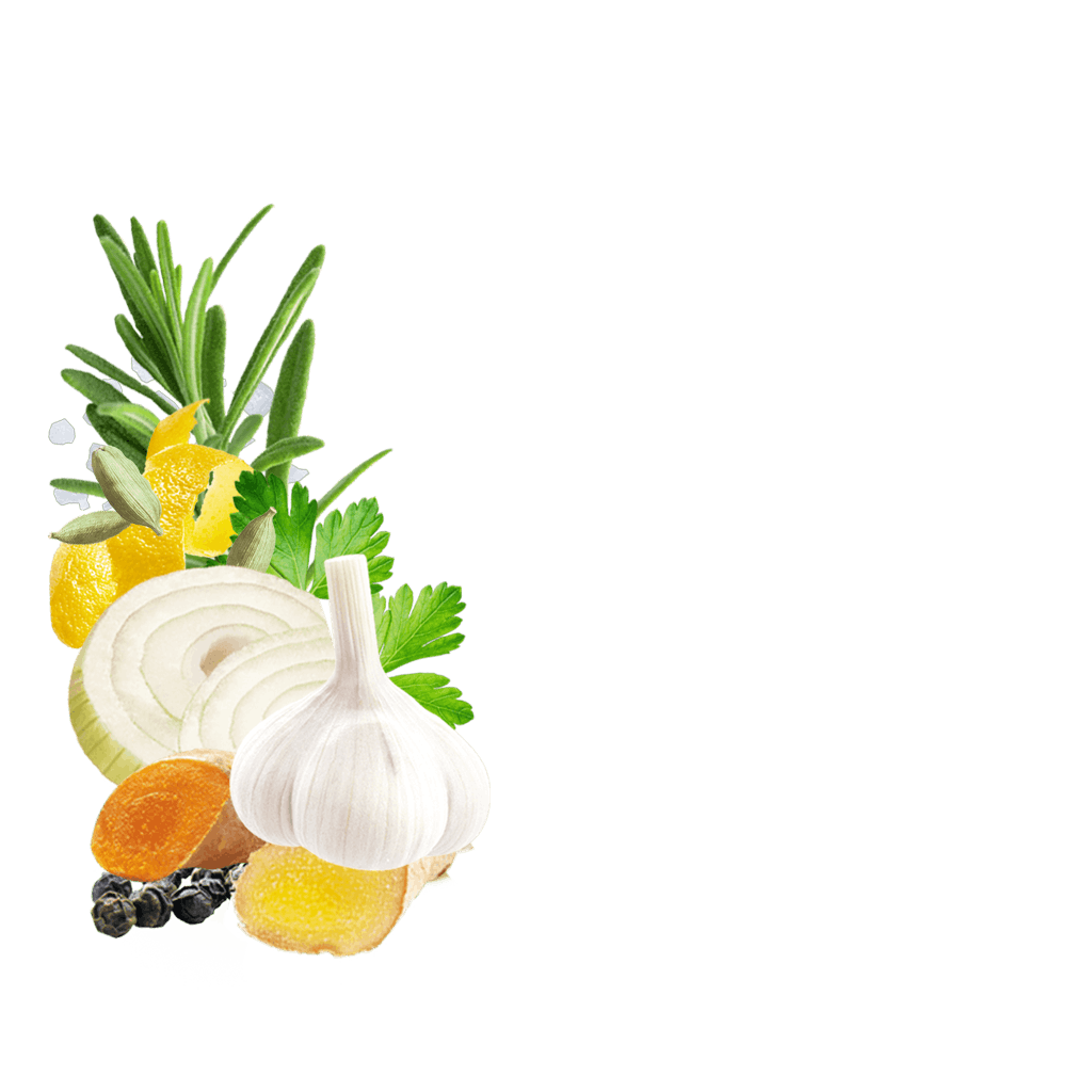 Gemüse Gewürzzubereitung Detailbild