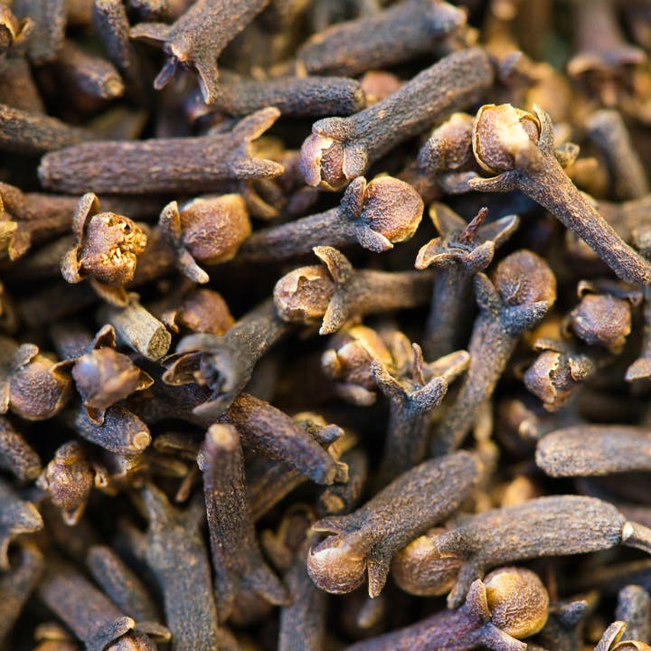 Blog Gewürzreport Nelken