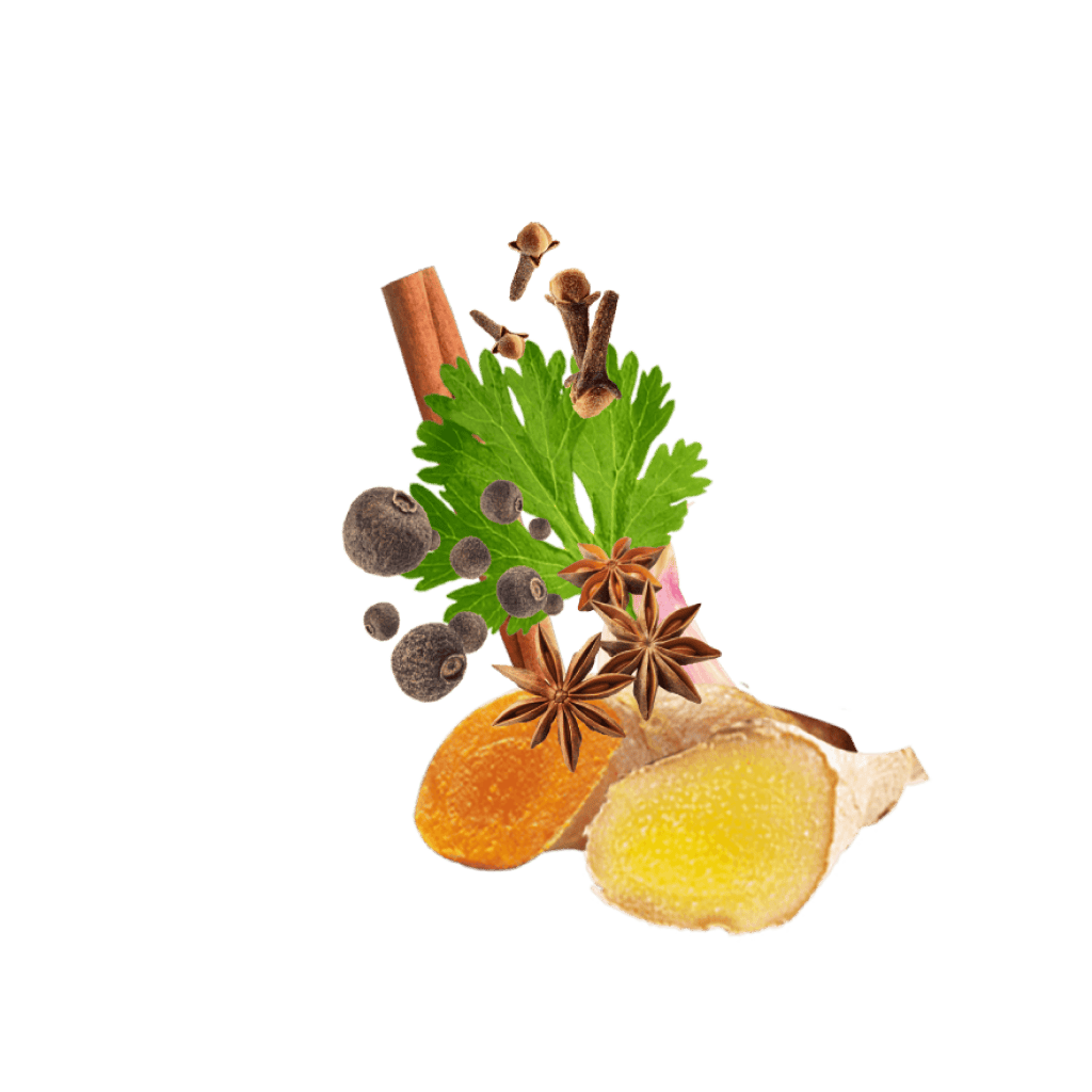 Detail Raselhanout Glas