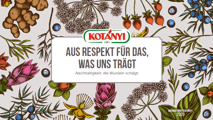 Nachhaltigkeitsbericht 2025 Thumbnail 720px